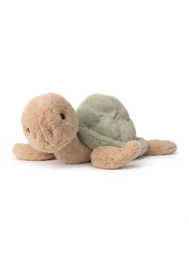 Sandy (Turtle)