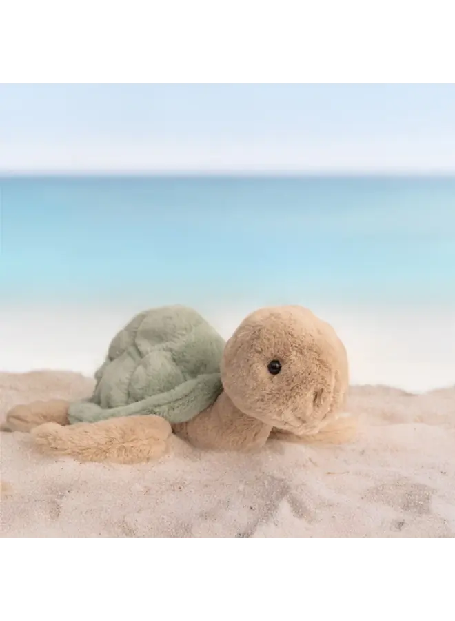 Sandy (Turtle)