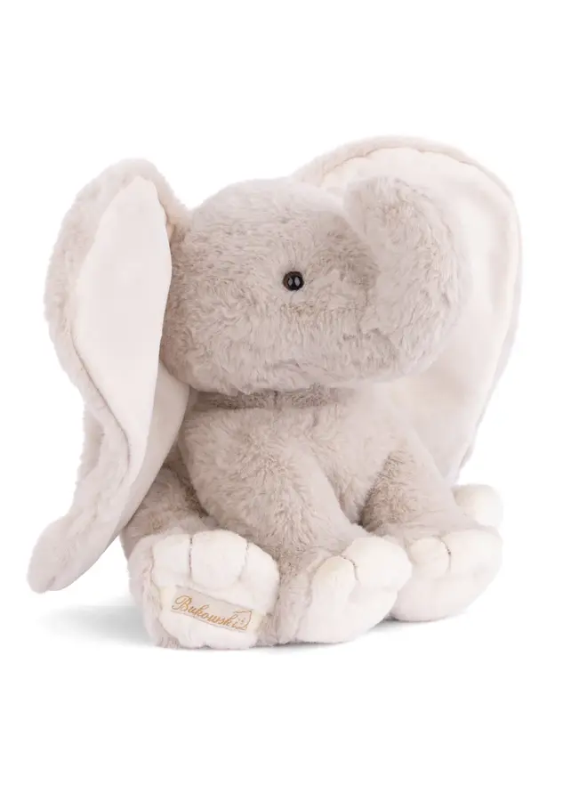 August (Elephant)