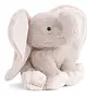 August (Elephant)