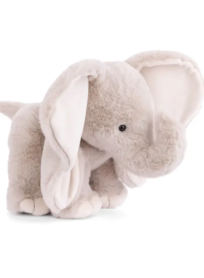 August (Elephant)