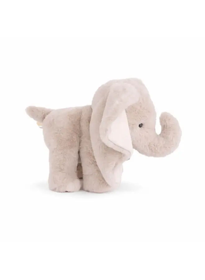 August (Elephant)