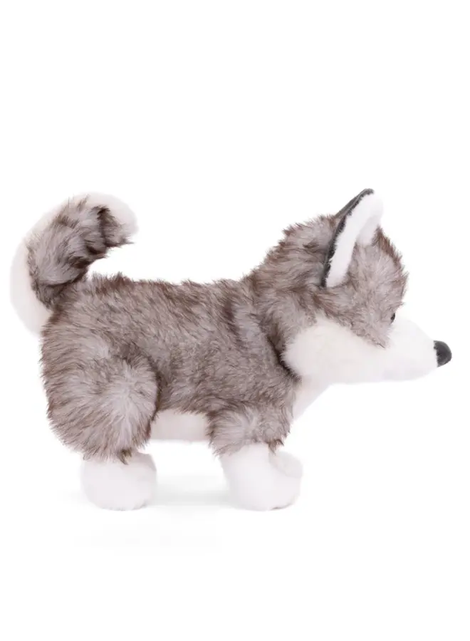 Sweet Husky