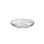 Sand Dollar Plate-M