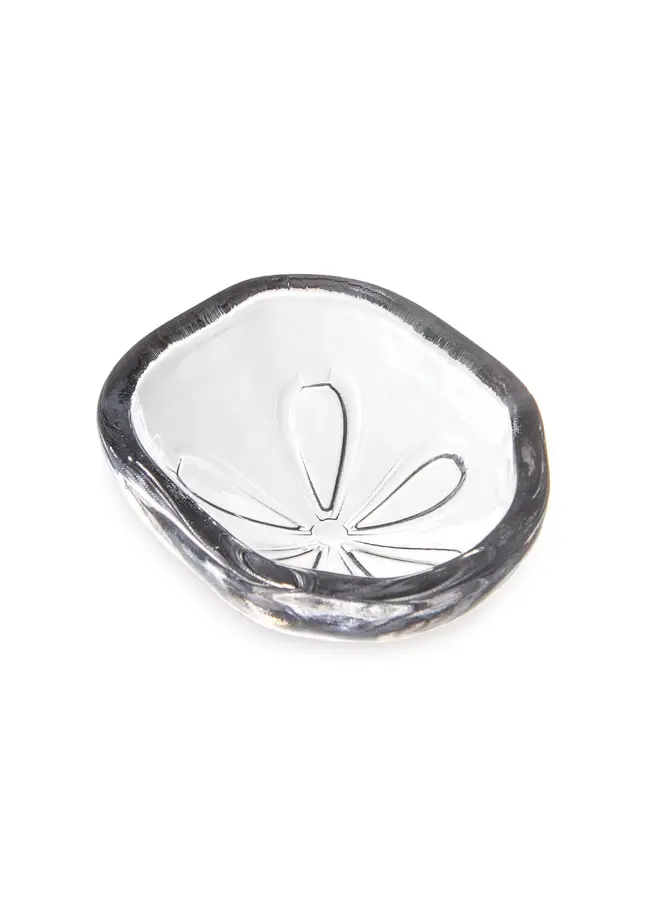 Sand Dollar Bowl in Gift Box