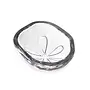 Sand Dollar Bowl in Gift Box