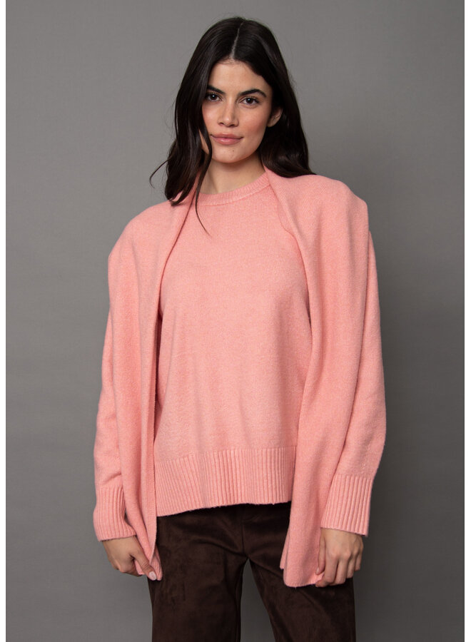 Waverly Long Sleeve Pull-Over With Scarf-