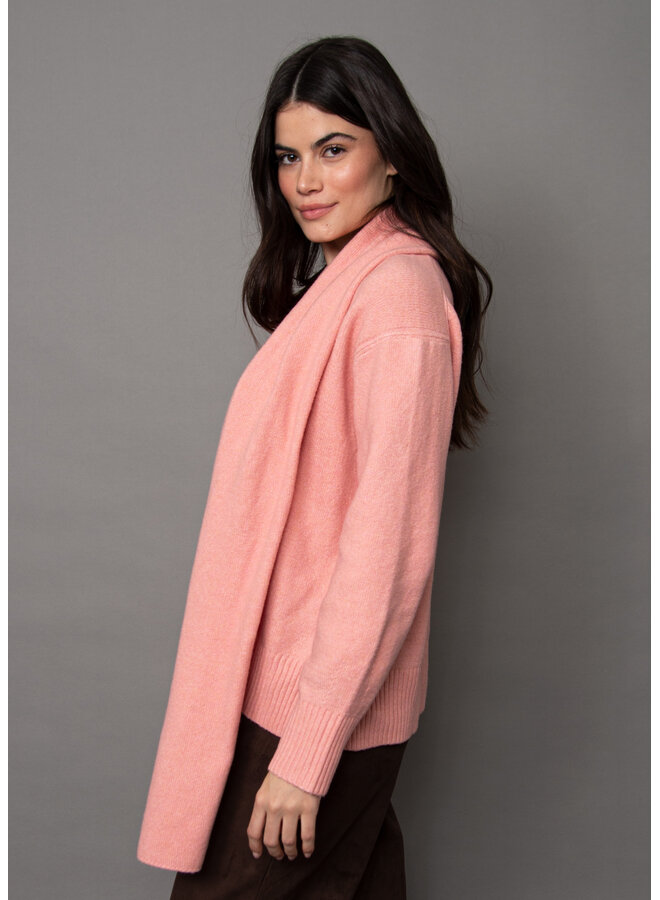 Waverly Long Sleeve Pull-Over With Scarf-