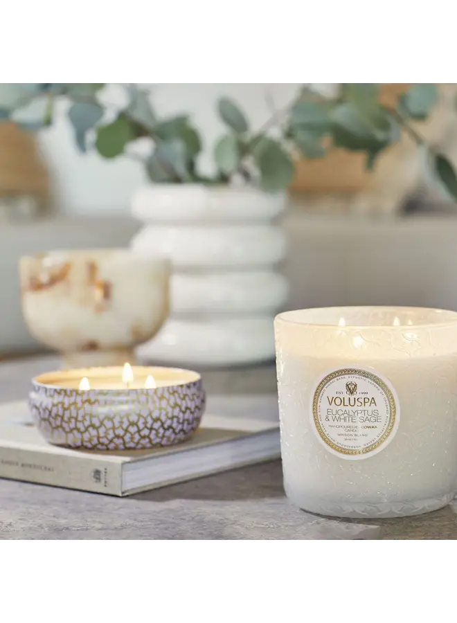 Eucalyptus 30 Oz Boxed Luxe