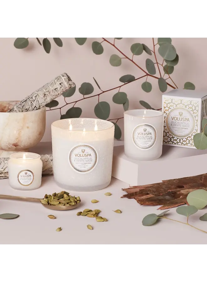 Eucalyptus 30 Oz Boxed Luxe