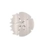 Flat Shape Hair Clip-Large-Sand Dollar
