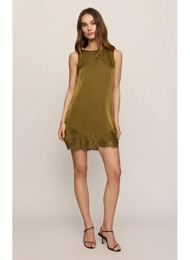 Meadow Muse Lace Mini Dress