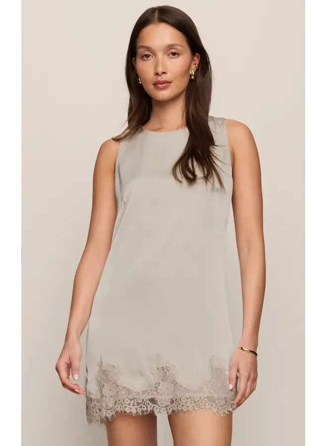 Meadow Muse Lace Mini Dress