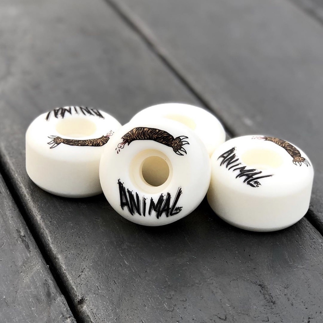 studio skate supply studio x an1mal tiger paw 54mm wheels