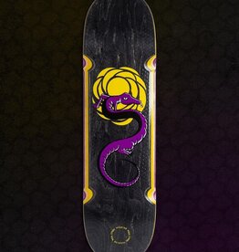 studio skate supply real wilkins lizard ssd 8.5 deck