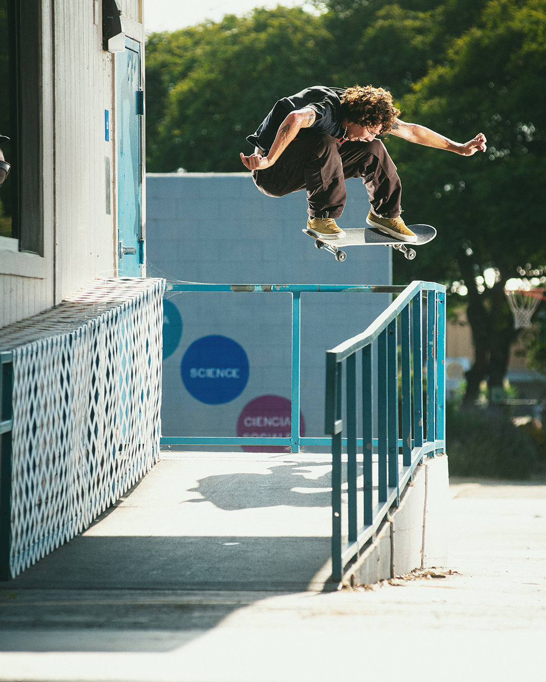 emerica emerica hoban shoe