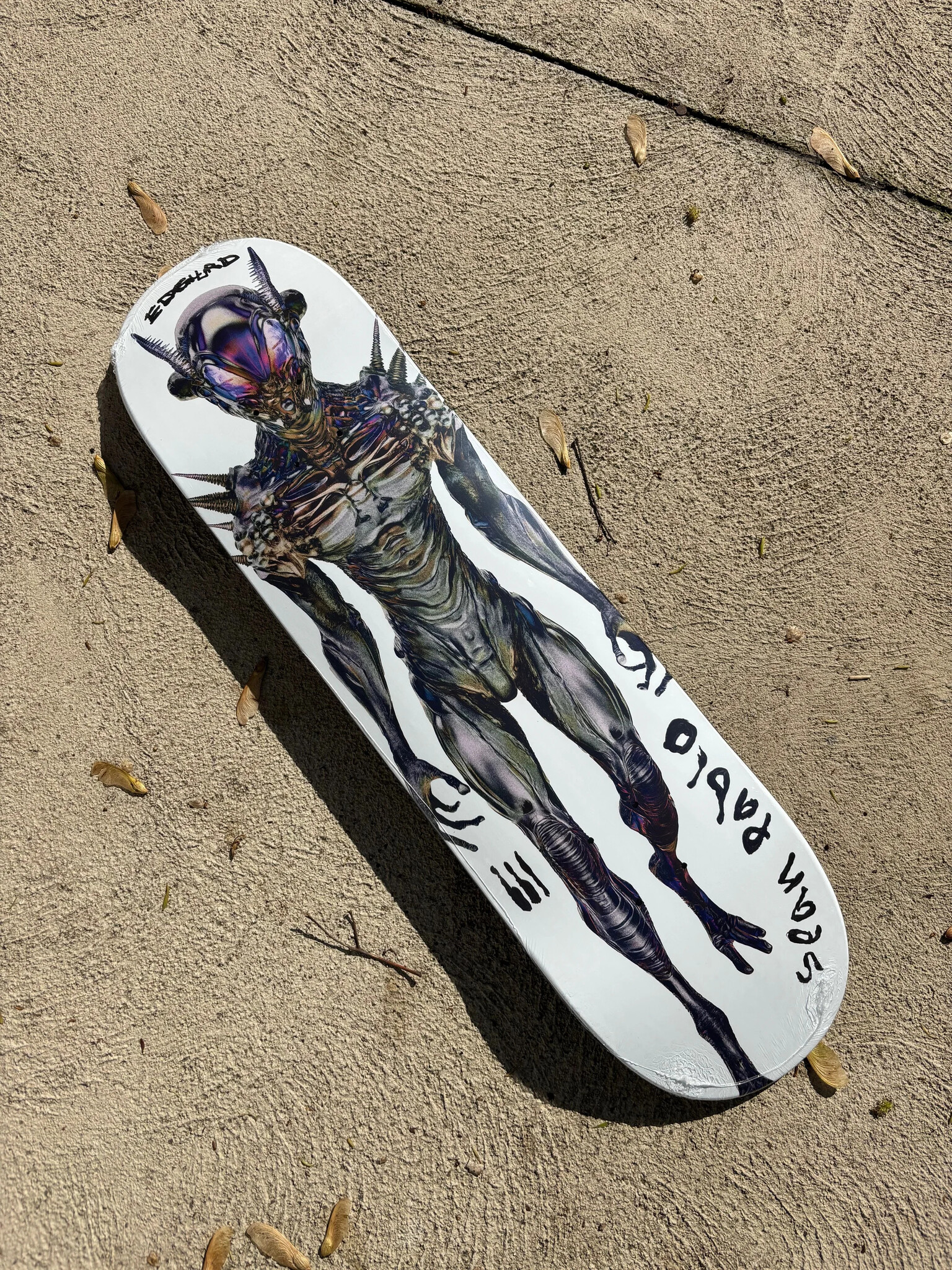 edglrd edglrd flexrx sean pablo 8.25 deck