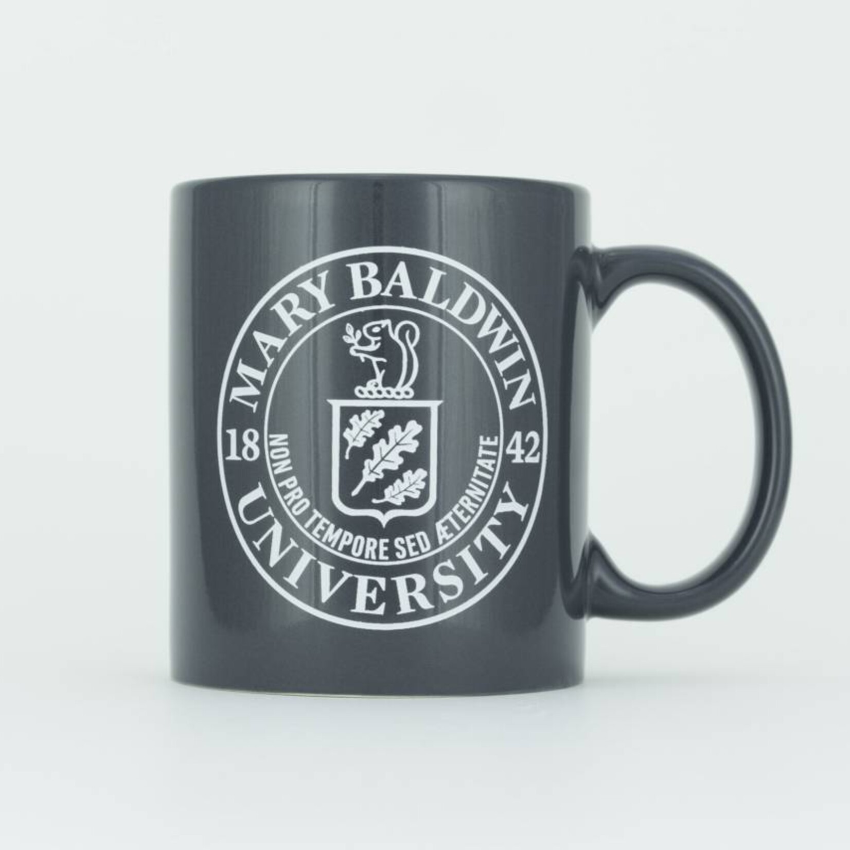 Spirit Products Dorchester Mug w/ University Seal