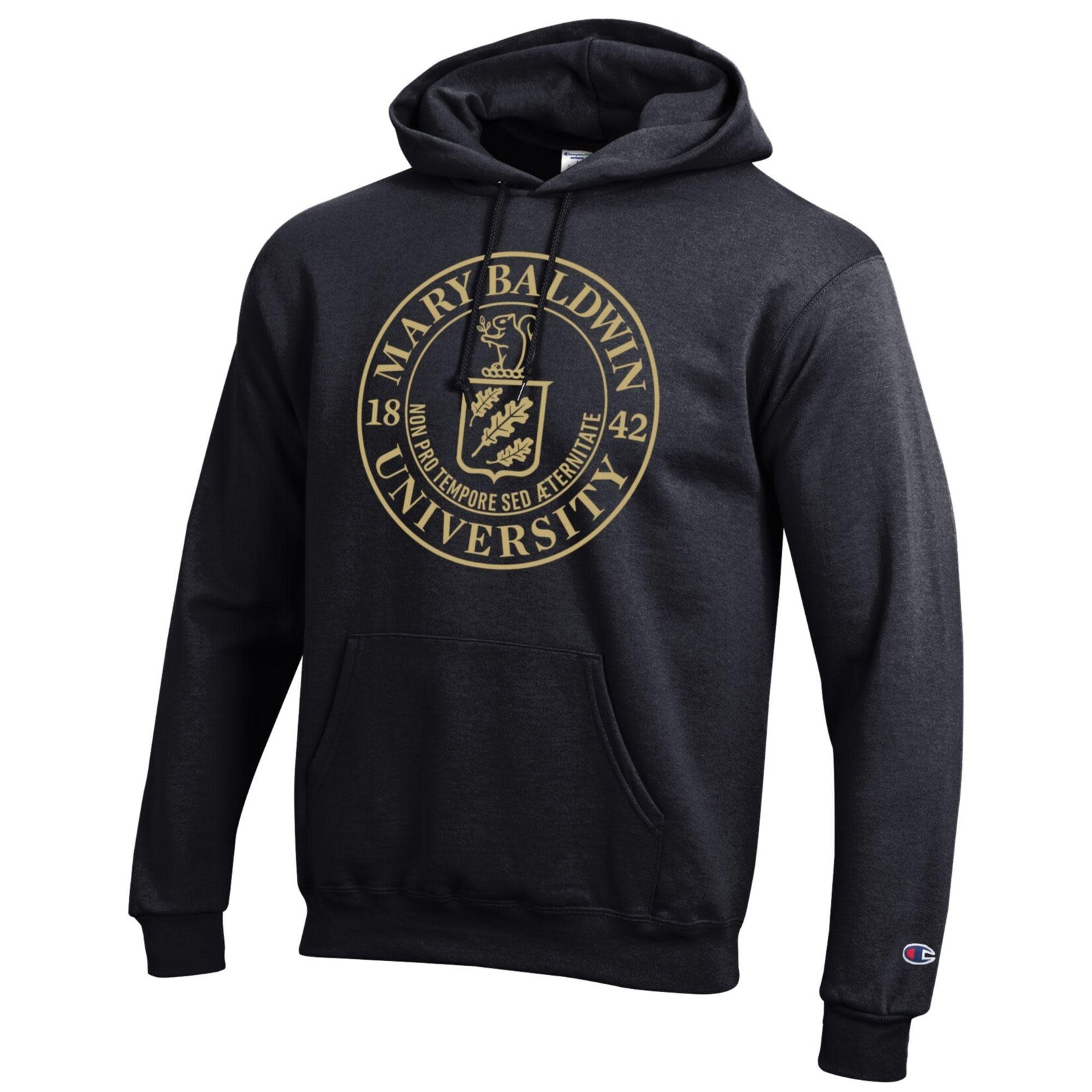 Champion powerblend pullover hoodie deals