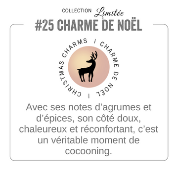 CHARME DE NOËL