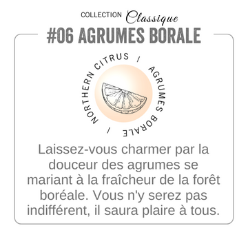 agrumes borale