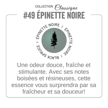 Épinette noire