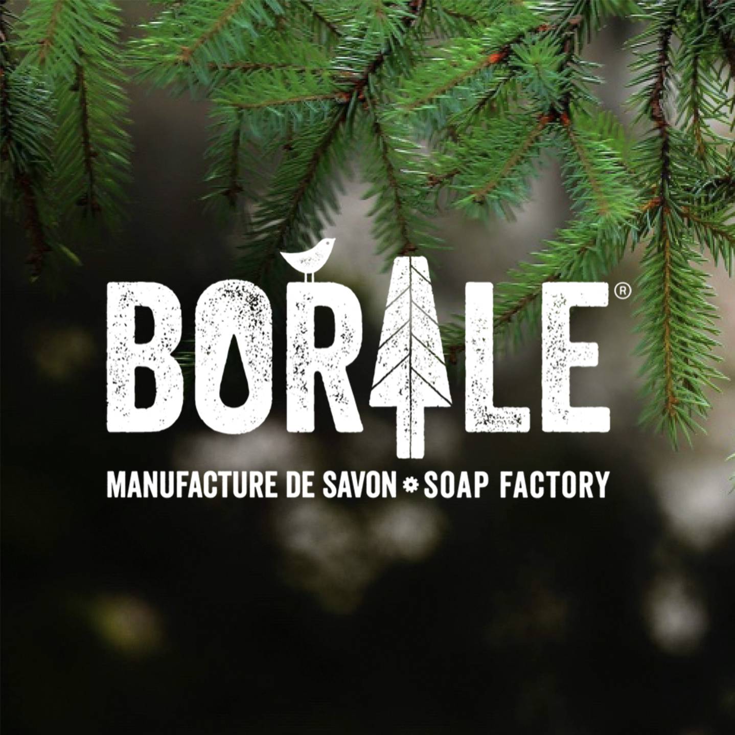 Manufacture de savon Borale