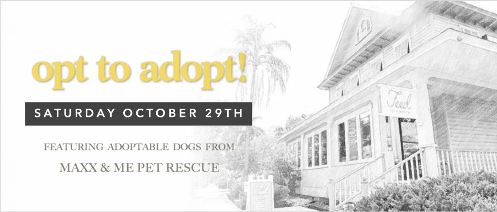 Opt to Adopt October 29th