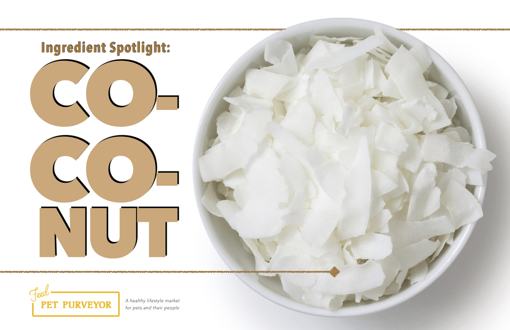 Ingredient Spotlight: Coconut