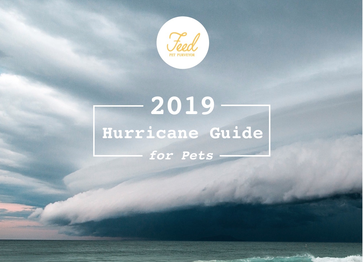 Hurricane Preparedness Guide 2019