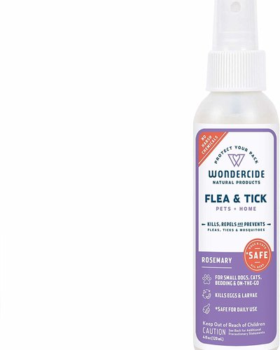 herbal flea spray for home