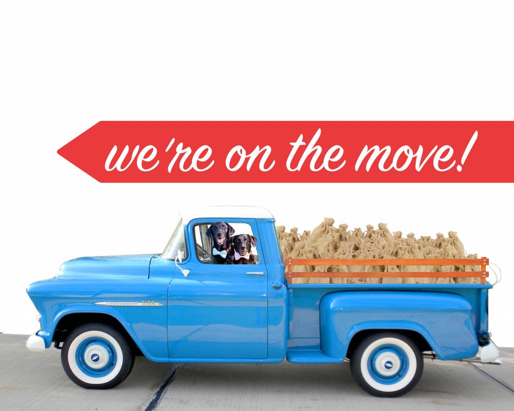 Store Moving!