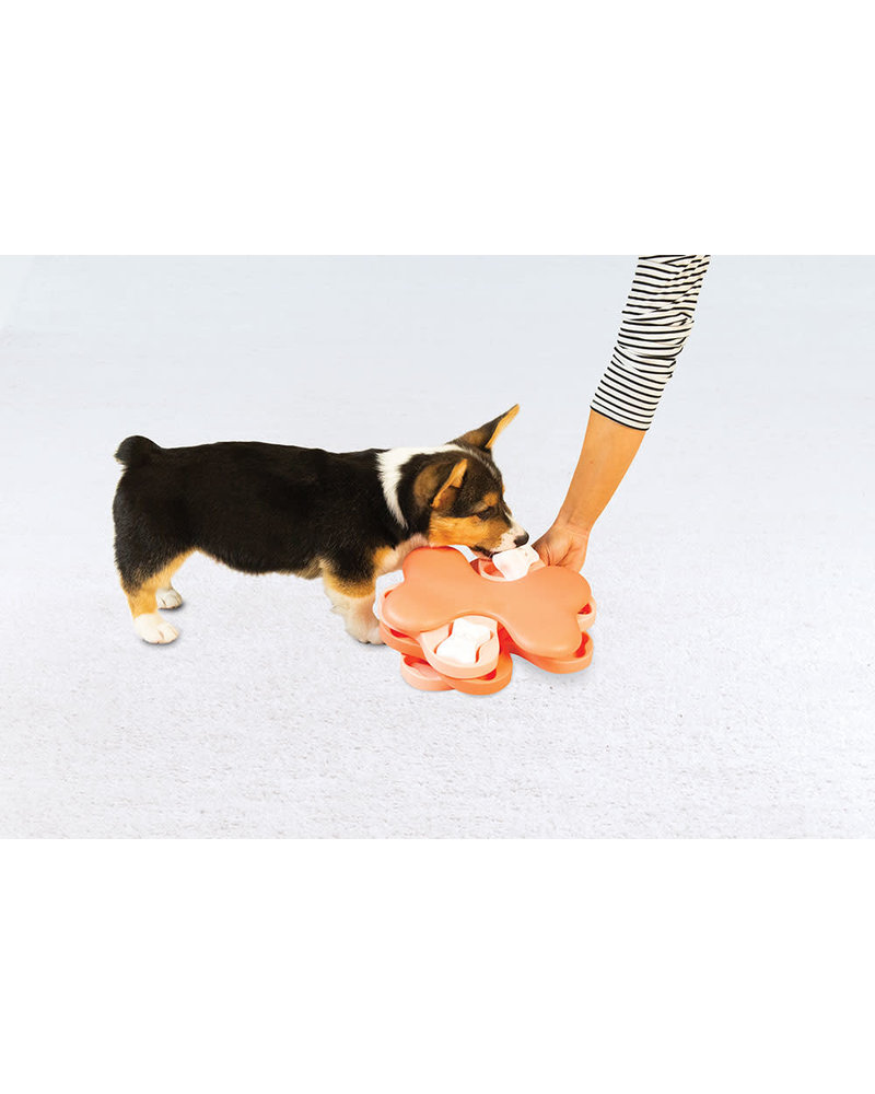 dog tornado puzzle