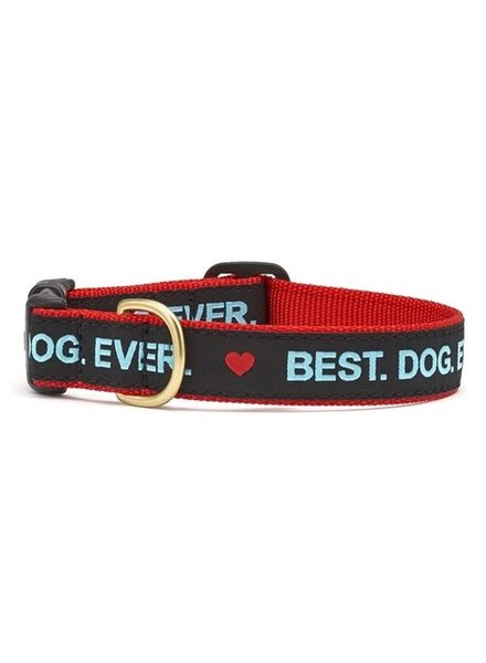 Up Country Dog Collar Best. Dog. Ever.