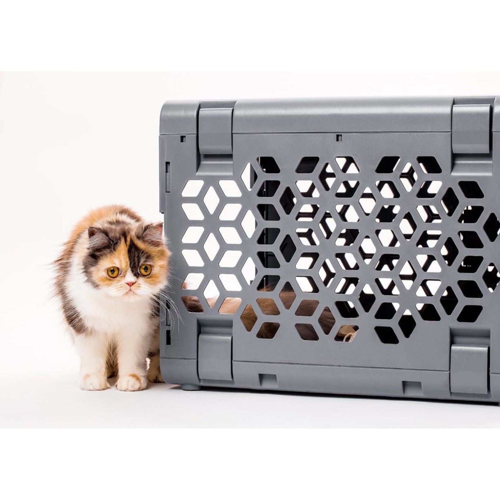 https://cdn.shoplightspeed.com/shops/603395/files/26616803/1652x1652x2/kindtail-pawd-collapsible-crate-grey.jpg