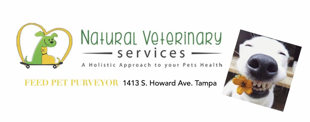 Dental Cleanings @ Feed 3/15