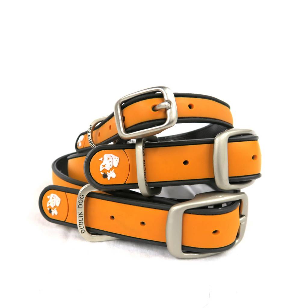 dublin dog waterproof collar