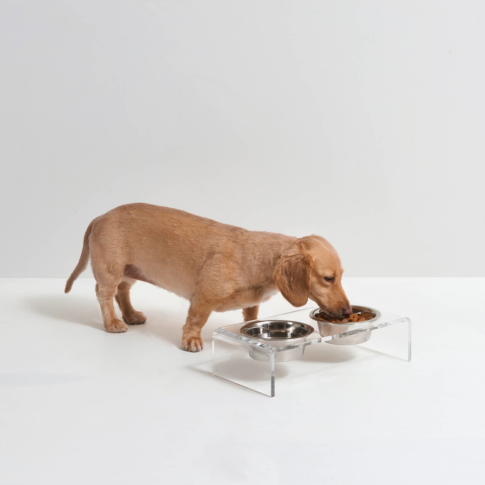 Clear Acrylic Dog Feeders, Modern Elevated Dog Bowls