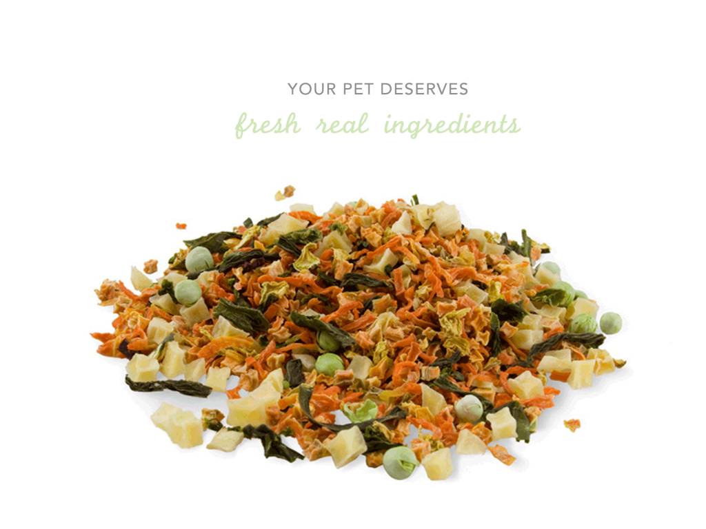 Top 4 Reasons You And Your Pet Will Love Freeze-Dried Food