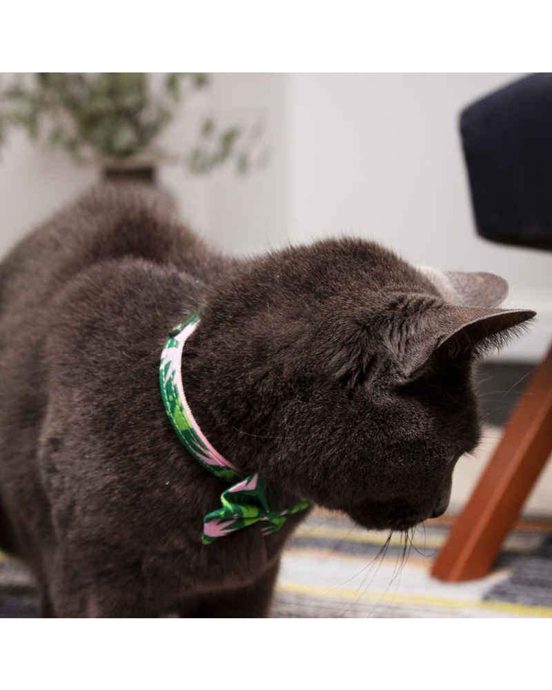 Hiro + Wolf Combs Cat Collar