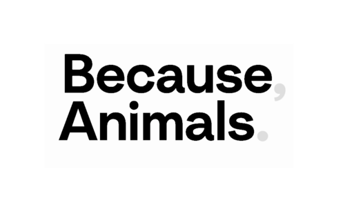 Because Animals