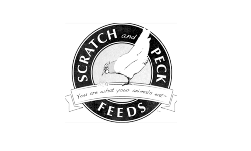 Scratch & Peck