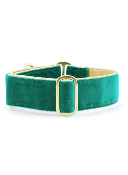 2 Hounds Design Martingale Collar - Emerald Velvet