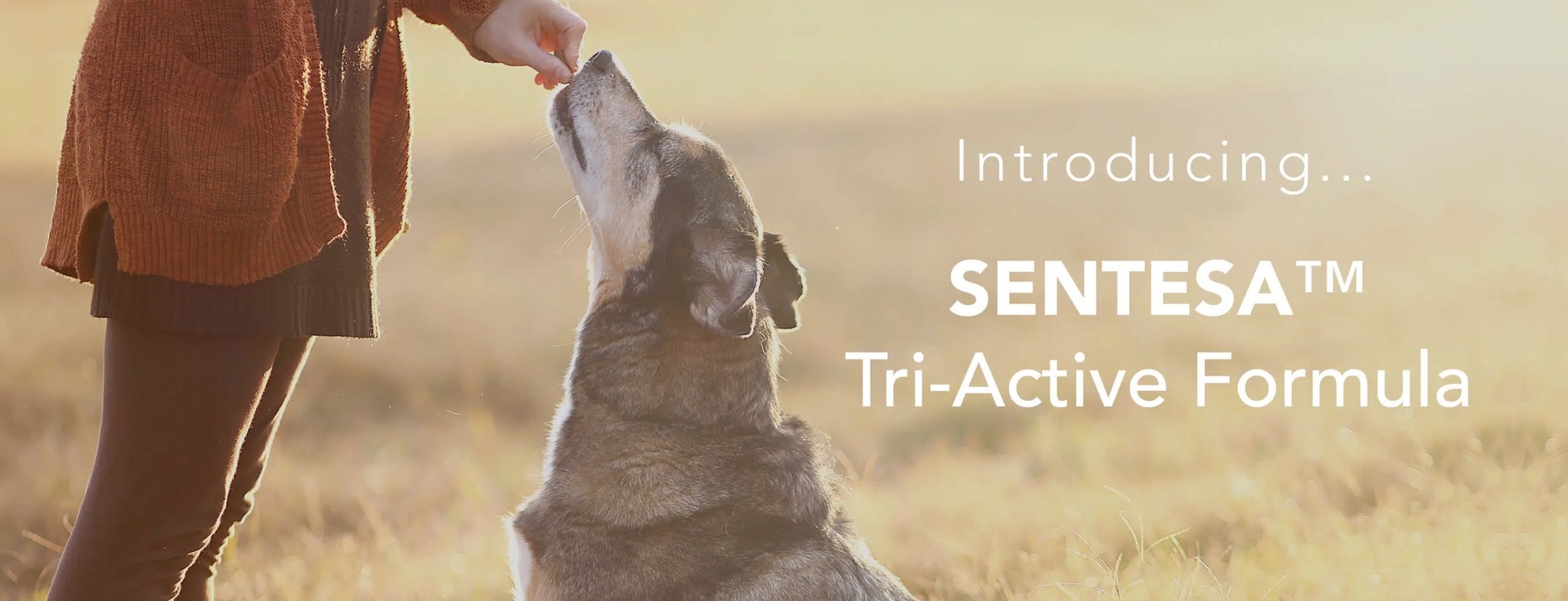 Introducing... SENTESA Tri-Active Formula