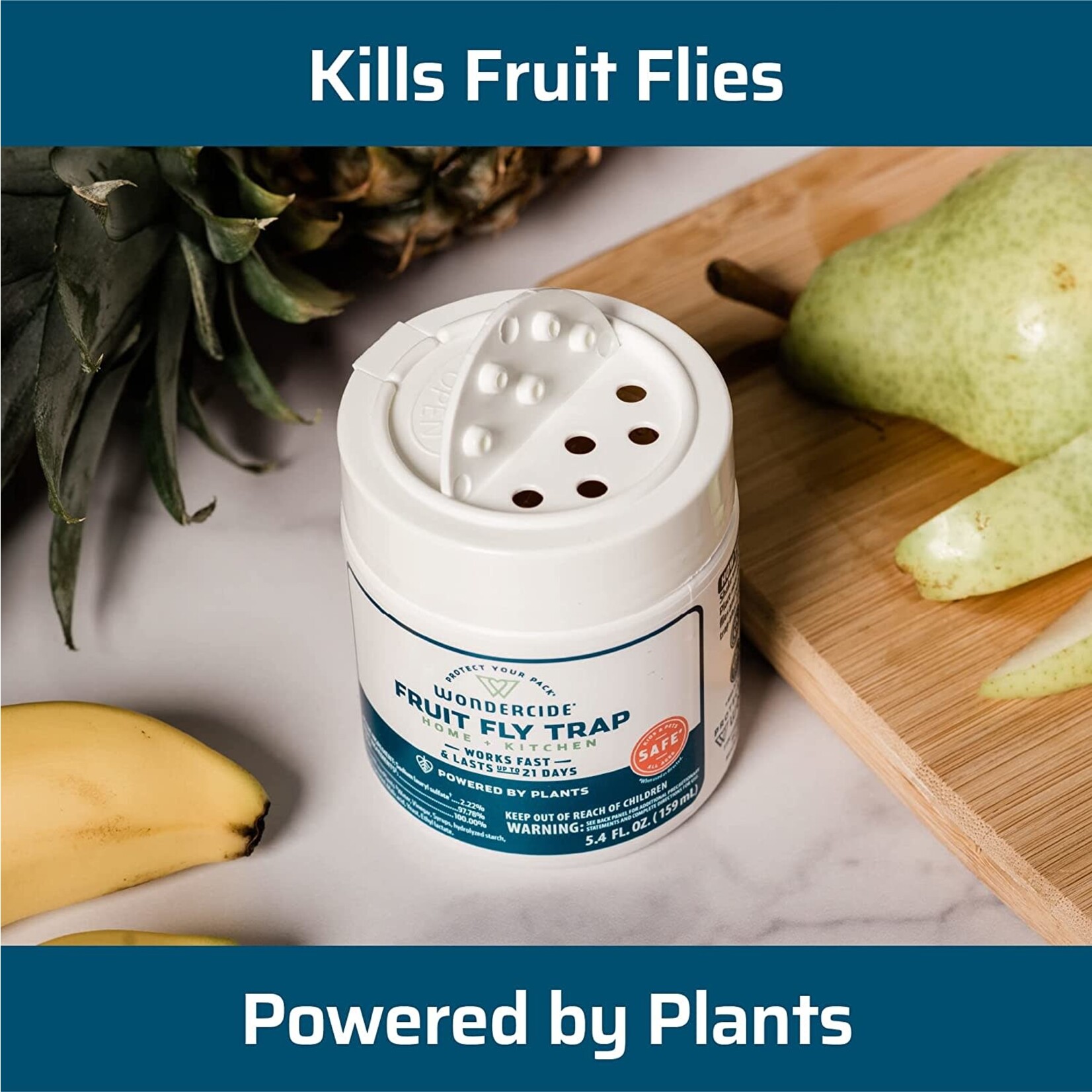 Fruit Fly Trap for Home + Kitchen