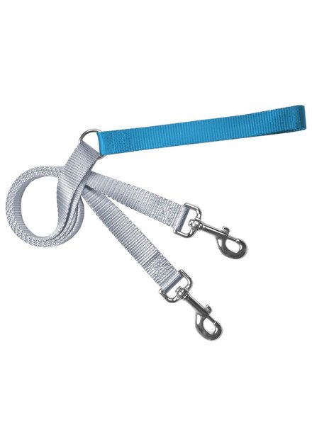 2 Hounds Design Turquoise Freedom Leash