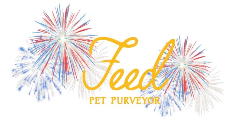 Celebrating the 4th with your Pet