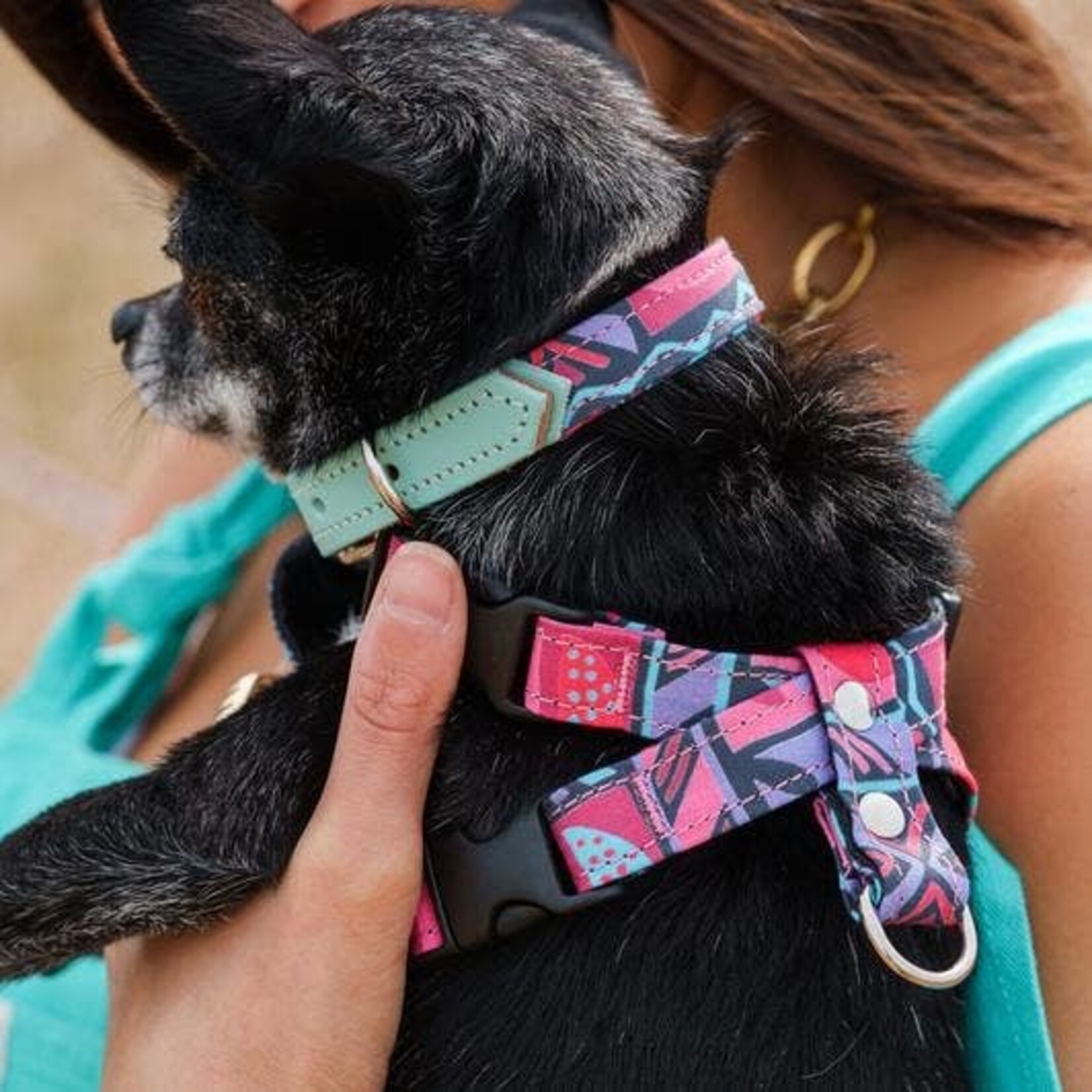 Caramel Harness - . Leather harness for dogs