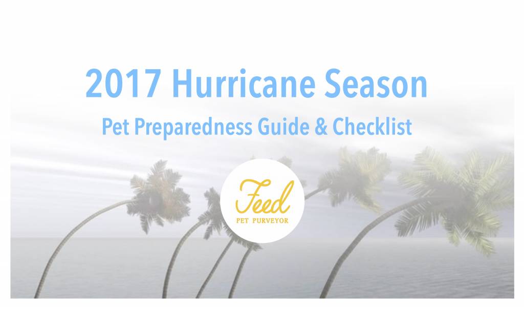 2017 Hurricane Preparedness Guide