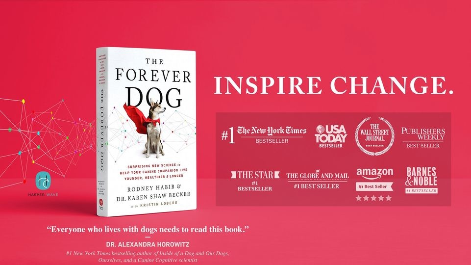 The Forever Dog